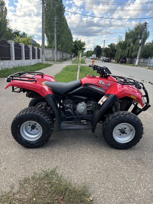 Can am rally 200