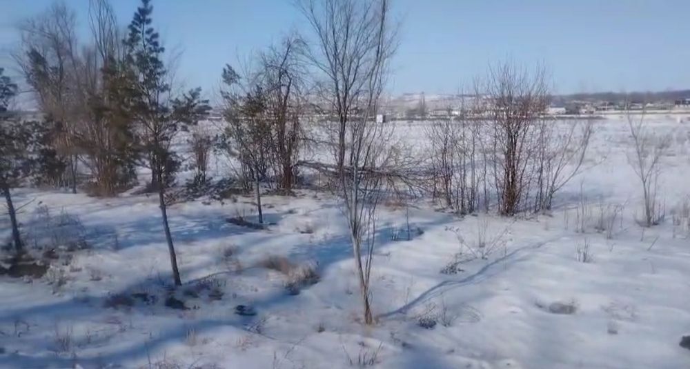 Узын агаш. Комерция жер. 1 линия