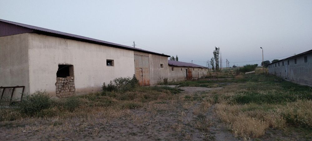 Mol boqishga mo'ljalanga fermer xo'jaligi