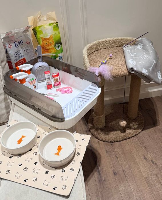 Мушук жуда ак,иллик