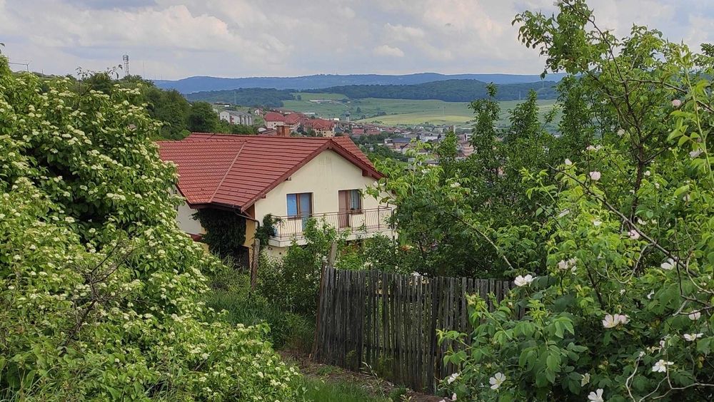 Casă pentru familie și animale de companie | Curte, liniște și natură