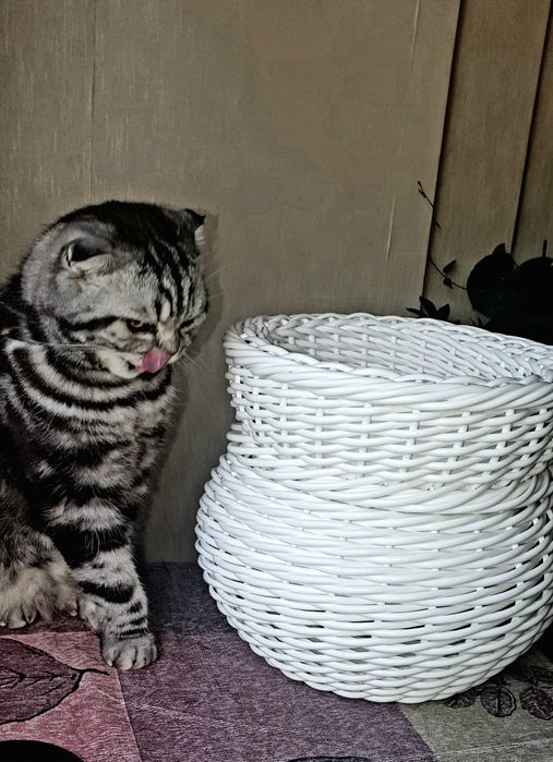 Кашпо из ротанга