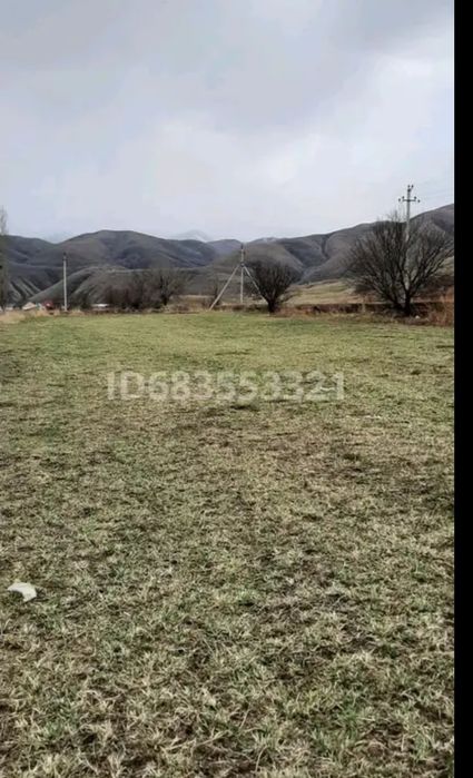 Сдам в аренду участок КХ