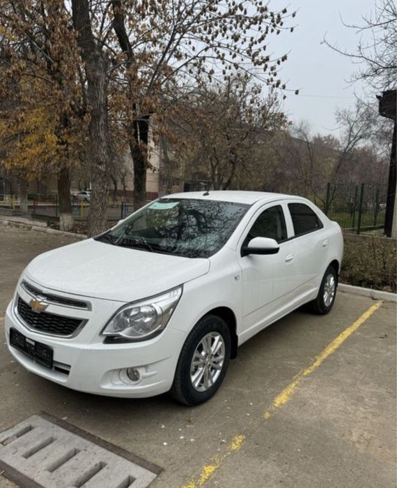 Стаил мсм нотариус бонус!2026