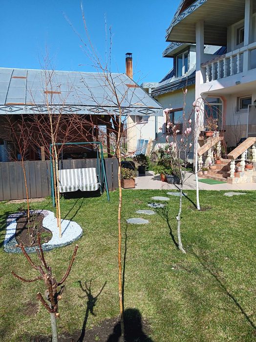 Urgent .Proprietar, parter la casa cu etaj, Mogosesti - Iasi, 10 km