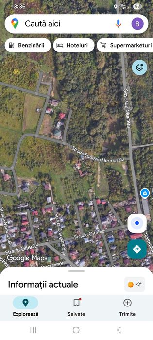 Teren copou ( Gradina Botanica )