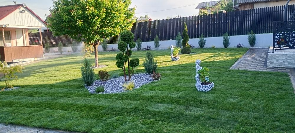 Toaletare,amenajare și întreținere spatii verzi