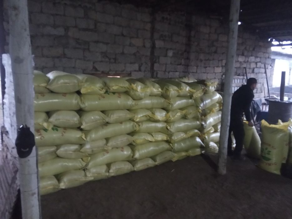 Недорого биогумос и другие биоудобрения.