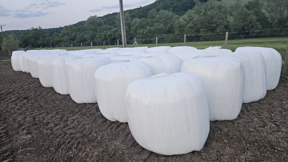 Baloti de lucerna infoliati – calitate premium! (Torița, jud. Mureș)