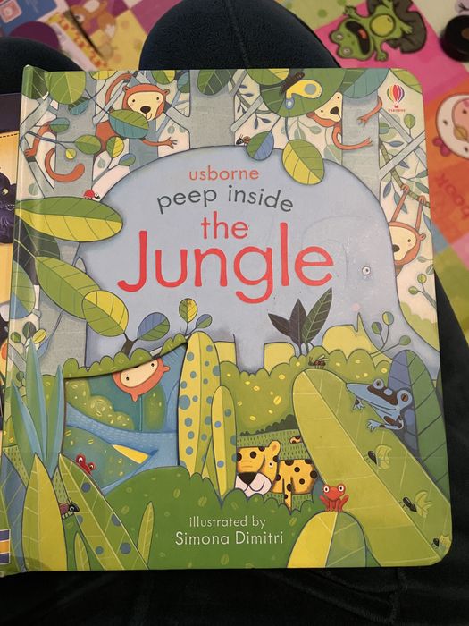 Set 2 carti usbone si litera mica copii