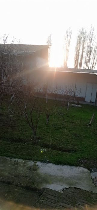 Zangiota tuman Tokzor Mfy Ganchkor koʻchasi