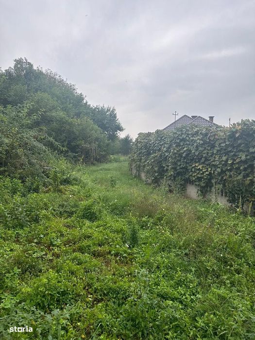 De vanzare teren cu casa de renovat Dej central