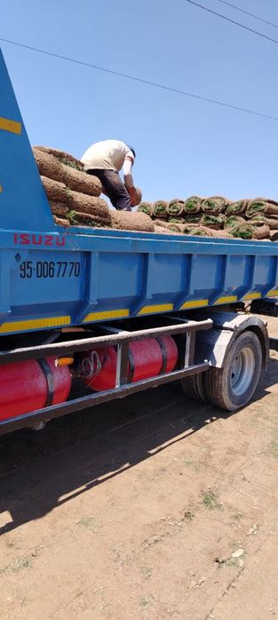Kamaz klines sheben kompot qum oluga tosh клинец кампот shagal