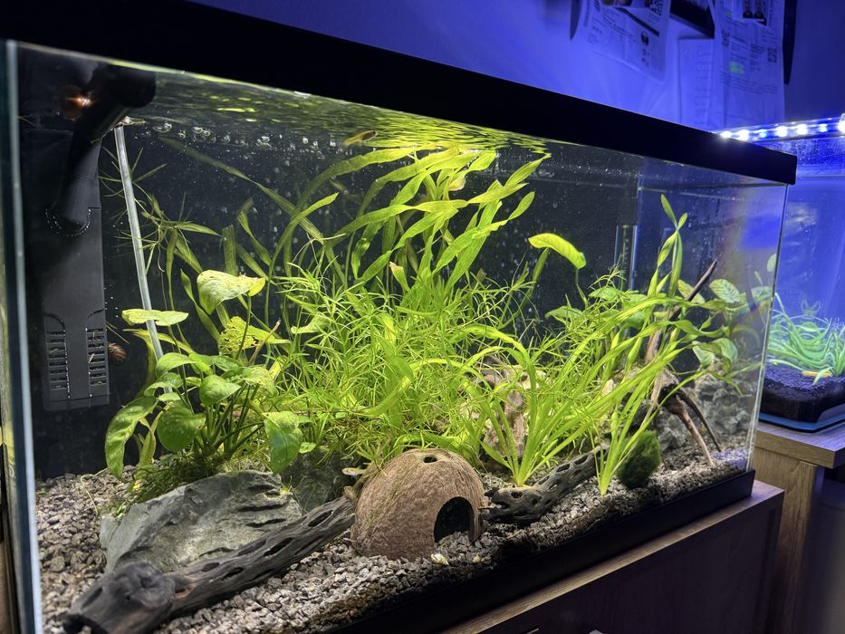 Продавам два аквариума с пълно оборудване – готови за ползване