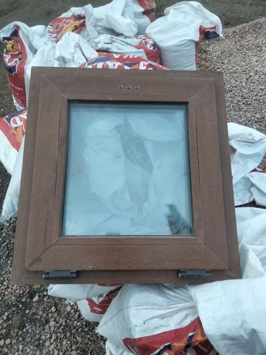 Окно золотой дуб