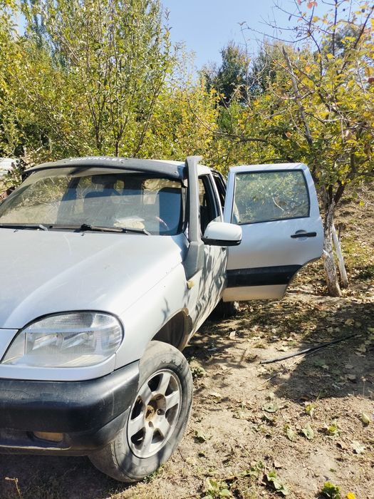 Сырошына пырадия утса