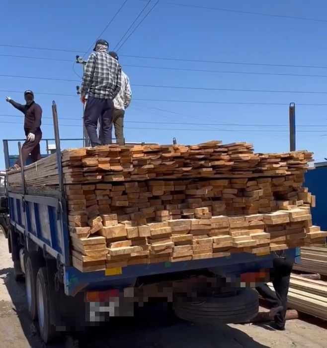 Ағаш. Лес. Профлист