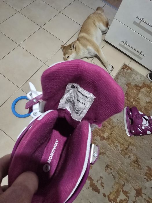 Коньки  Nordway.