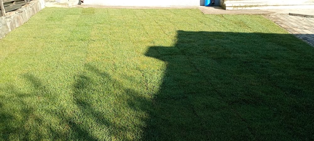 Amenajare spatii verzi