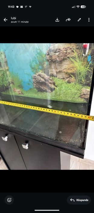 Acvariu Eheim+stand Eheim 120 l