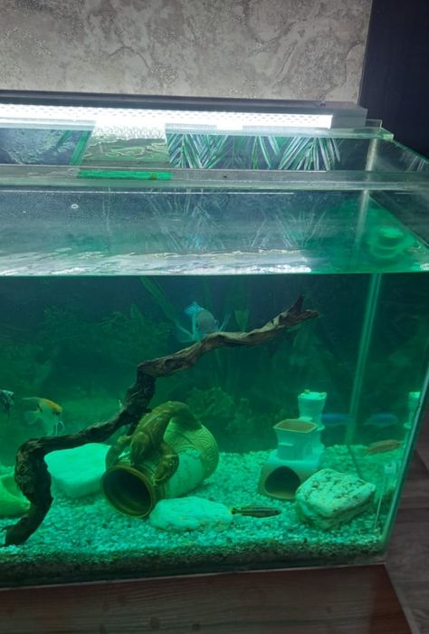 Усиленный Аквариум 150литров .