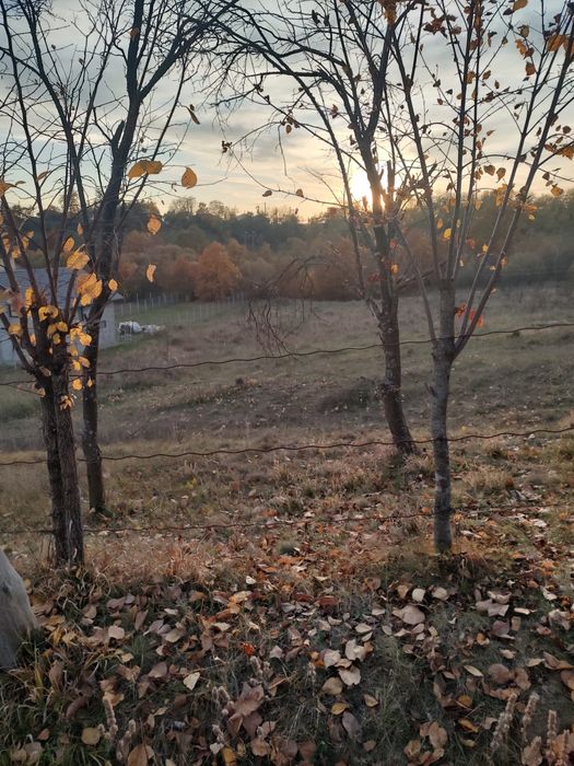 Vând teren 2532 mp intravilan usor negociabil