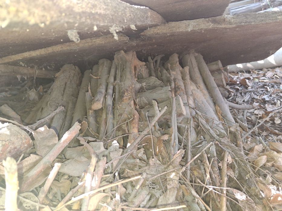 Дрова в мешках для шашлыка и бани