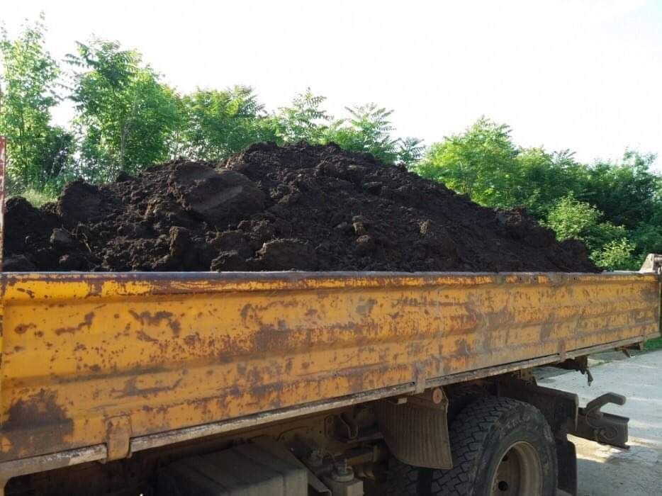 Golire subsoliri,mansarde Transport Moloz si apartamente