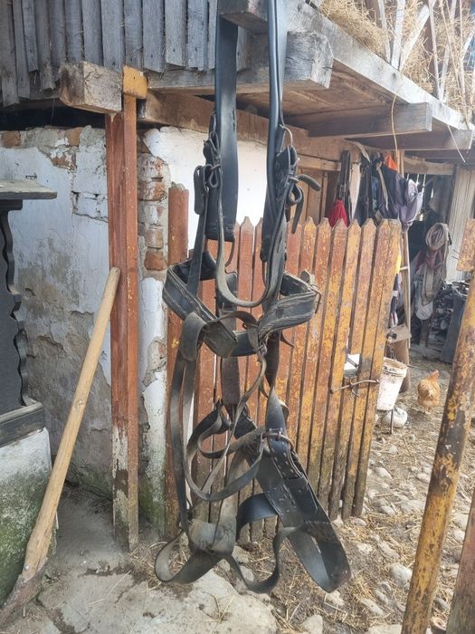 Vand ham de piele