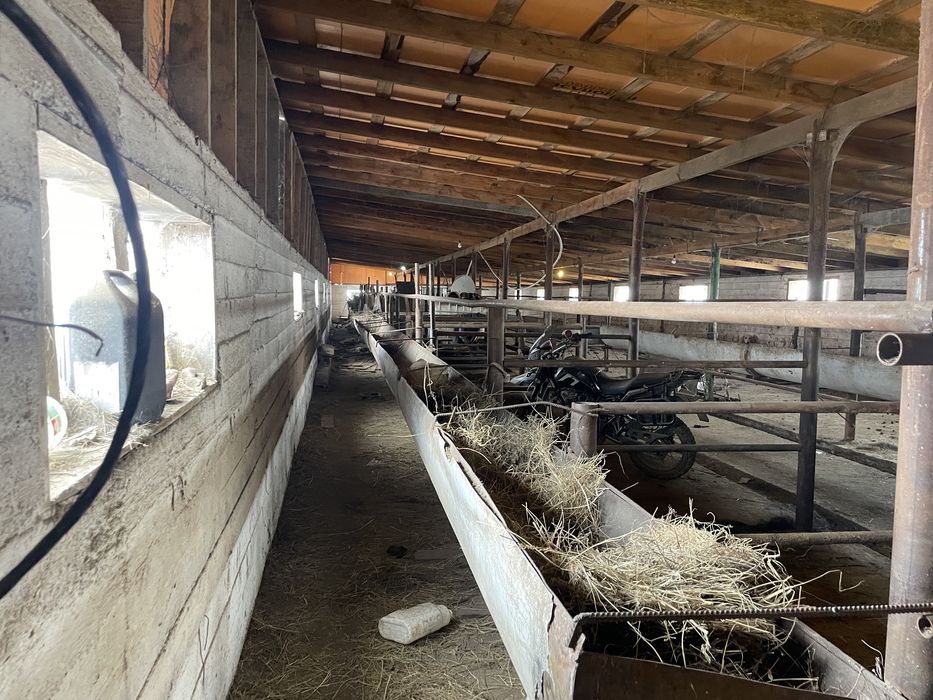 Фазенда, крестянское хозяйство.ТОРГ