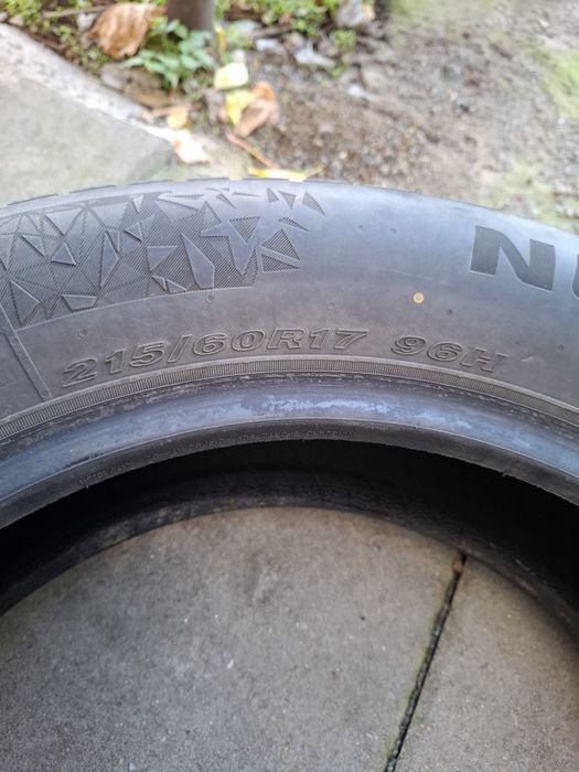 Гуми NEXEN зимни