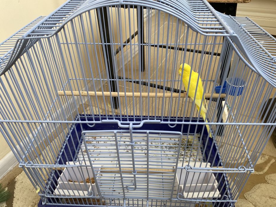 Бақшада порно көру