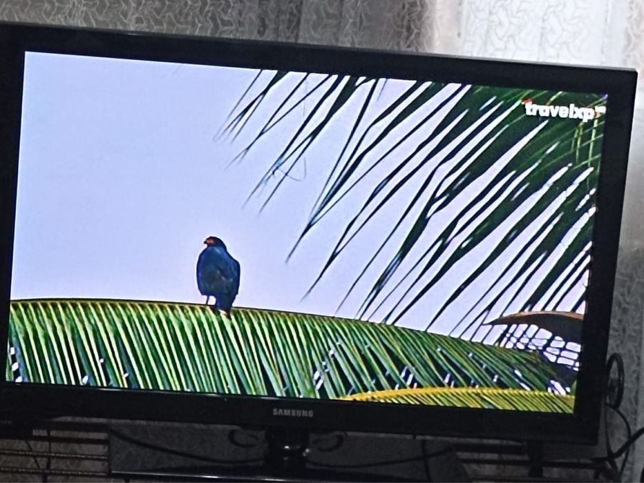 Телевизор самсунг