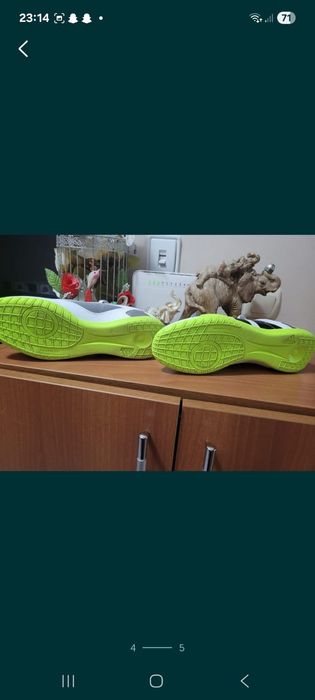 Бутонки и стоножки