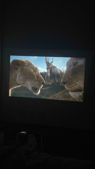 Проектор в аренду