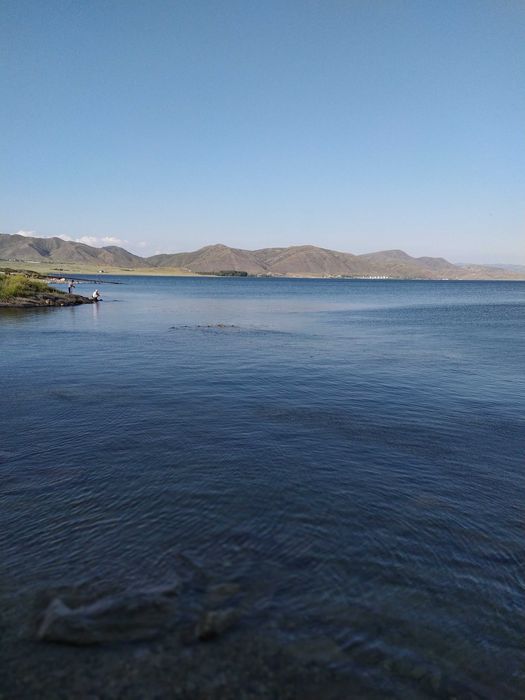 Участок с домиками на Бухтарме