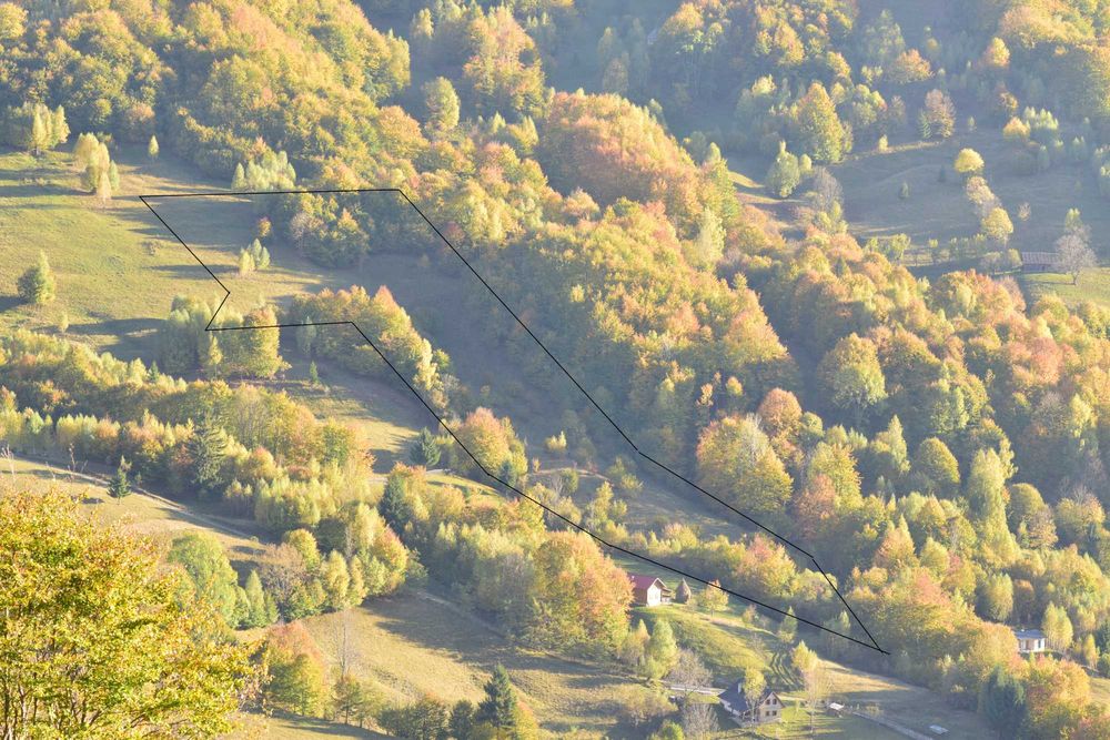 Teren de vanzare la munte