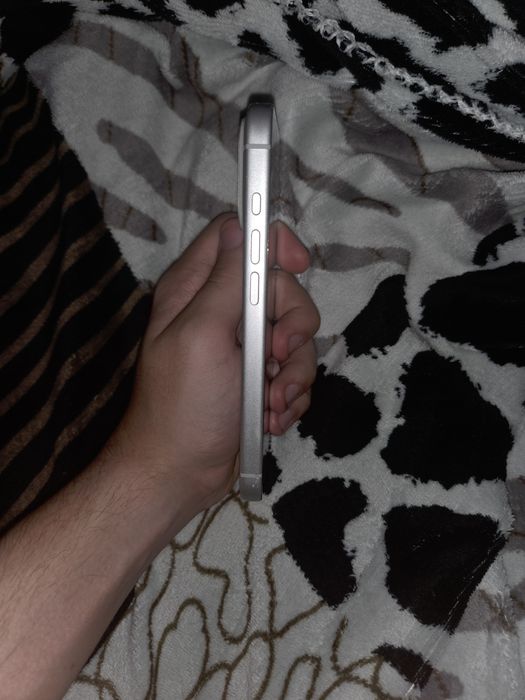 Iphone 17 pro silver