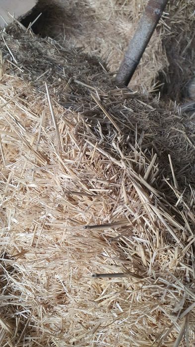 Samon pres sotiladi. Presi katta. Tolasi mayin.