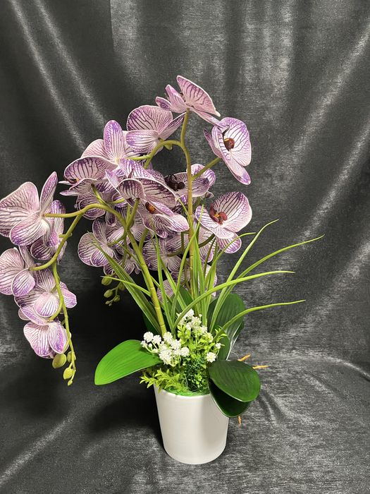 Aranjament orhidee premium