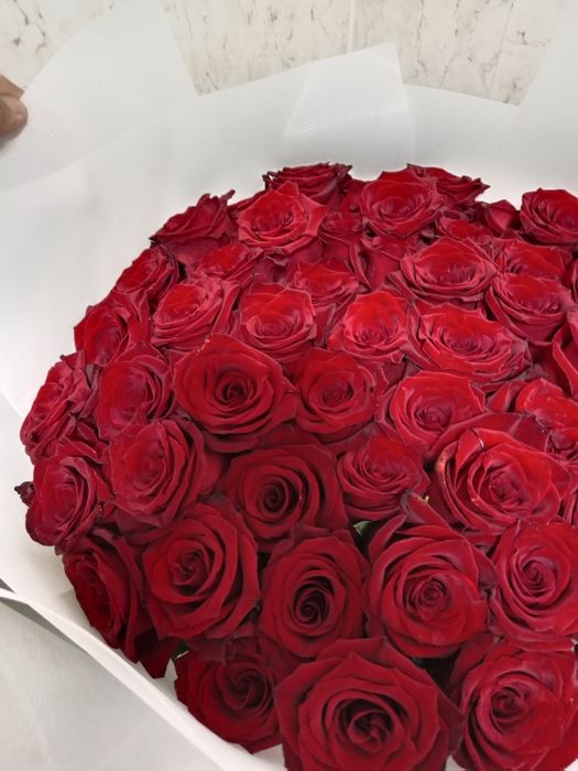 Цветы розы  красные.