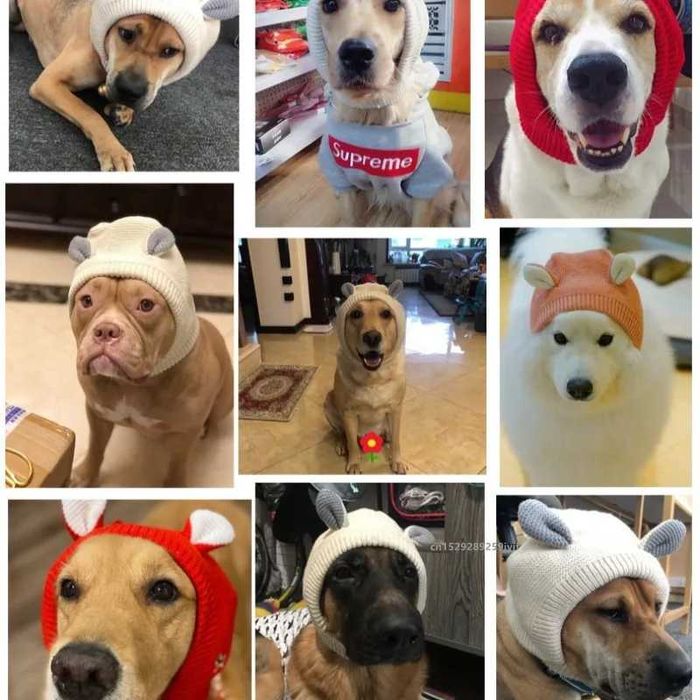 Зимна шапка с наушници за кучета