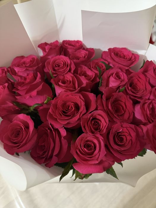 Цветы роза метровый