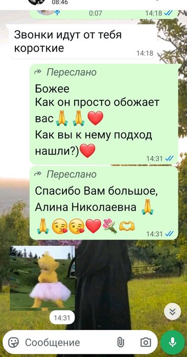 автоняня от двери до двери с опытом