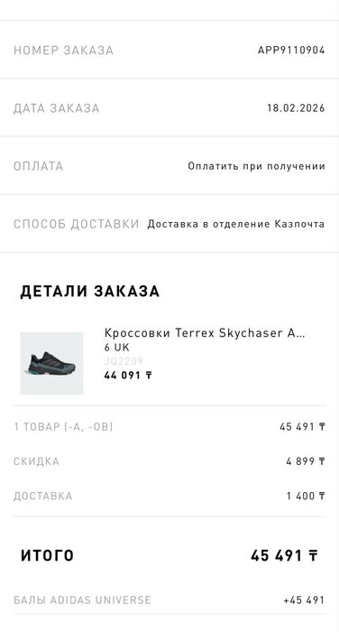 Adidas Terrex Skychaser GORE-TEX — оригинал