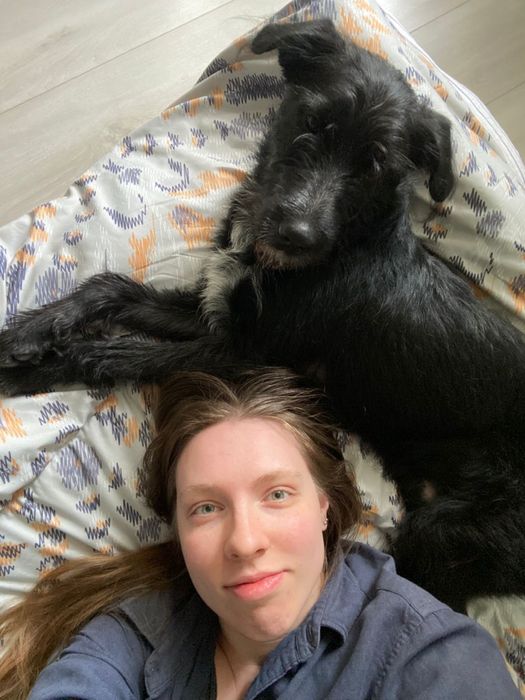 Pet sitter - VIP передержка - присмотр за животными на дому