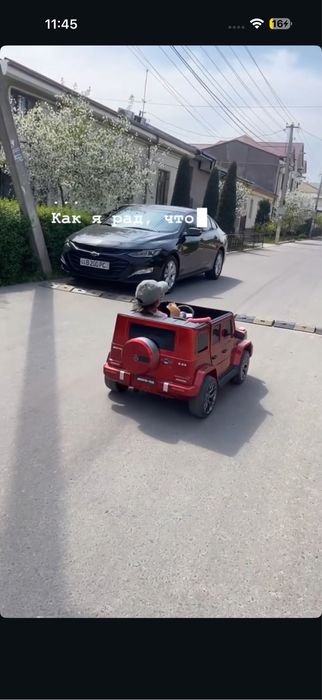 Gelik detskiy SOtilad1