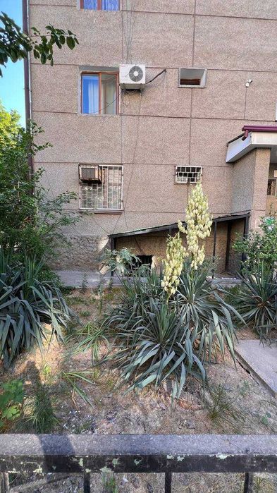 Продаётся помещение 159м2 Ор-р  Эльбек, Переушка