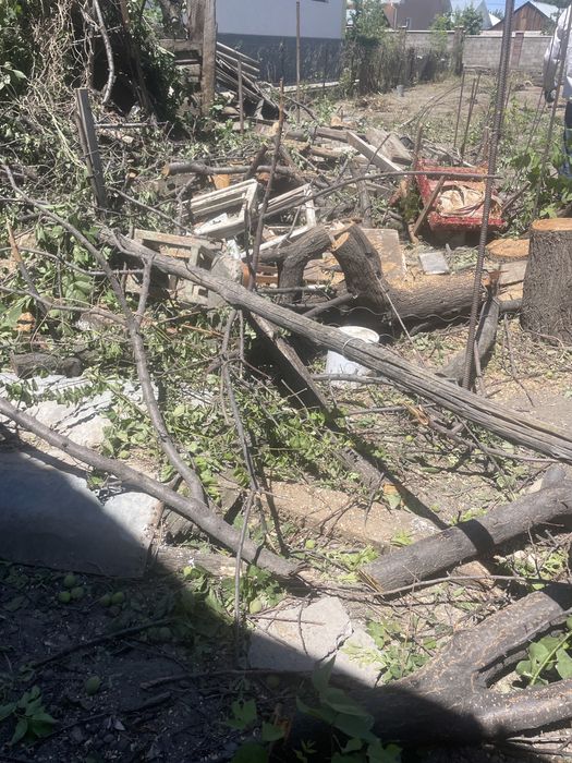 Дрова Отын Бесплатно