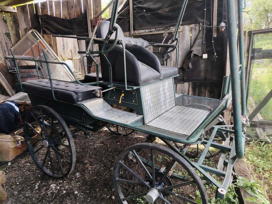 Triciclu turistic 3 roți, vehicul agrement